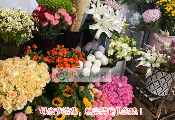 2024晋中榆社县母亲节送花,晋中榆社县精美鲜花供您选!